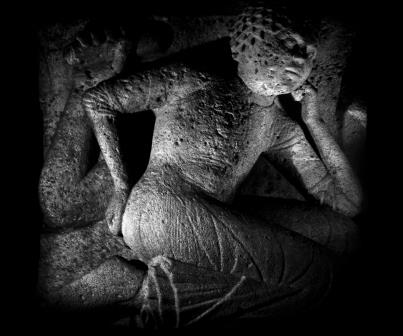 NINO MIGLIORI. LUMEN. Leoni e metope del Duomo di Modena