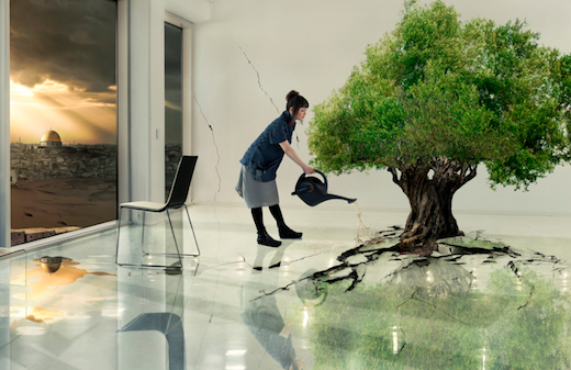 La Palestine à l’IMA