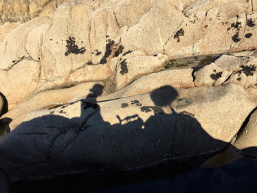 Ariane Michel. La Rhétorique des marées – Vol. 2