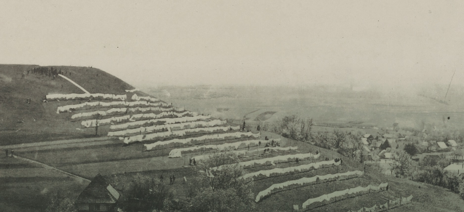 ecologEAST. Art and Nature Beyond the Wall