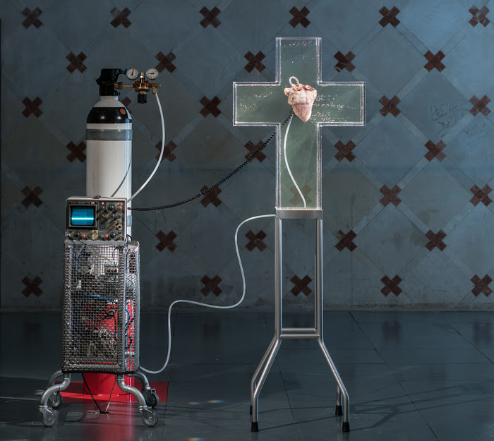 José Antonio Hernández-Díez. I will fear no evil