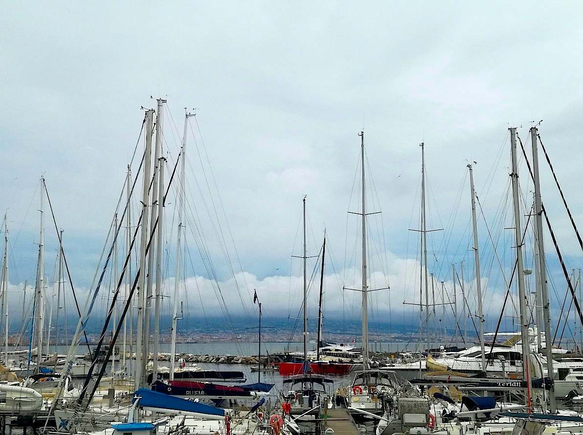 Napolidic2016